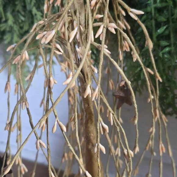 Primitive Weeping Willow Pip Berry Rusty Star Tree Figurine Farmhouse Decor - Picture 3 of 3